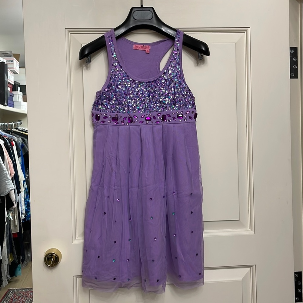 Havengirl purple beated dress